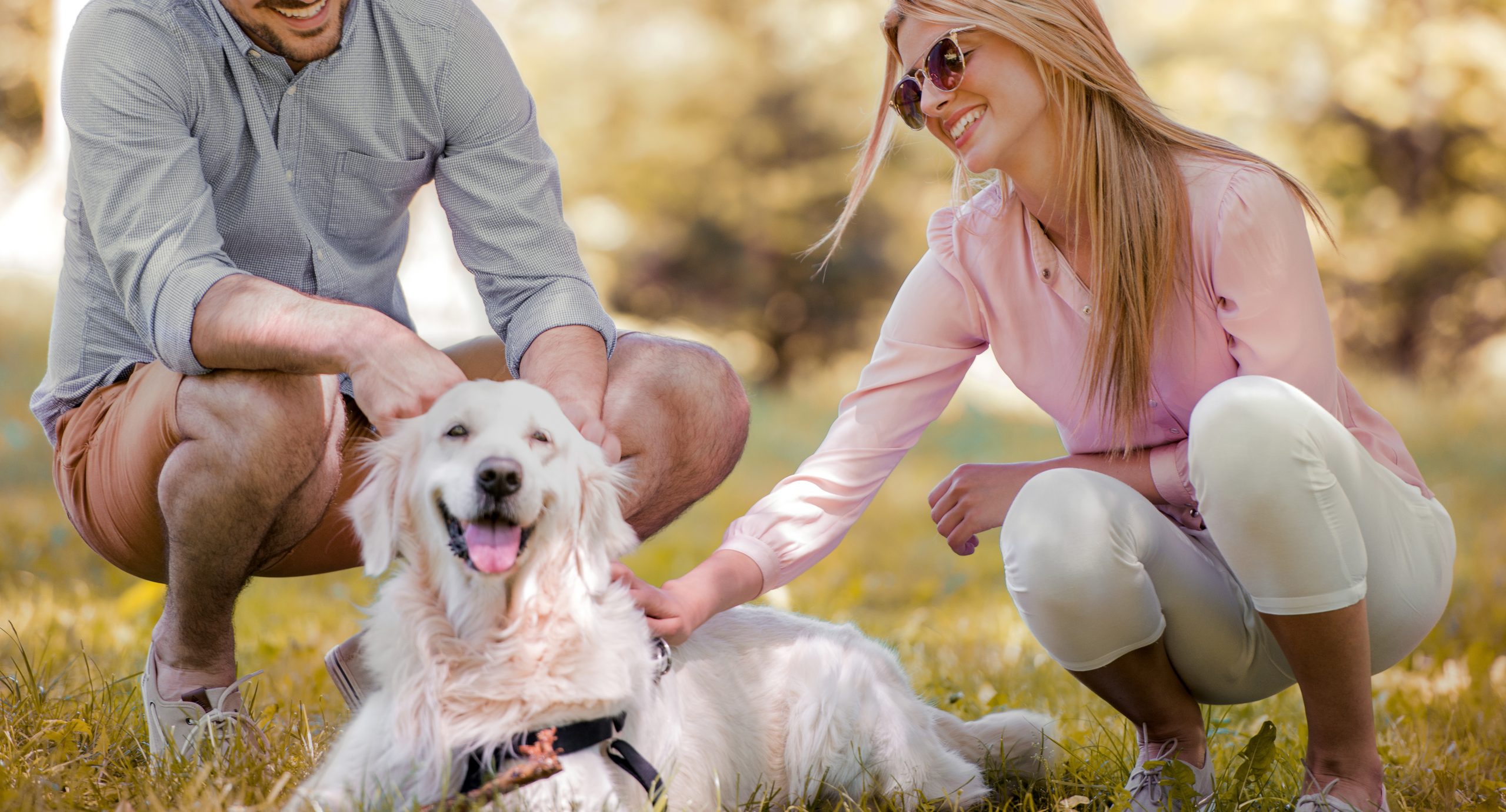 Couple with their dog in the park on a sunny day.